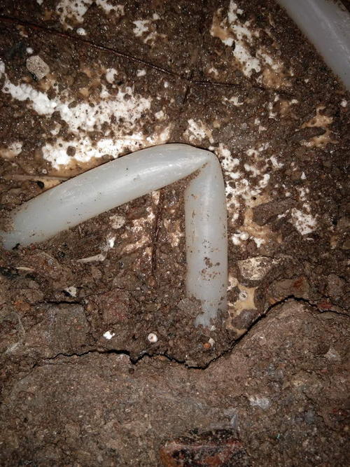 武山堵点精准查找